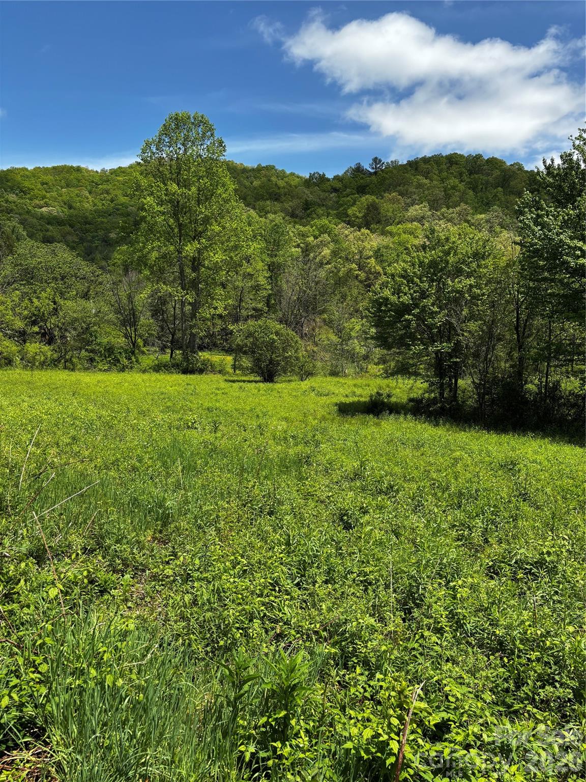 1659 Mountain Creek Road Robbinsville NC 28871