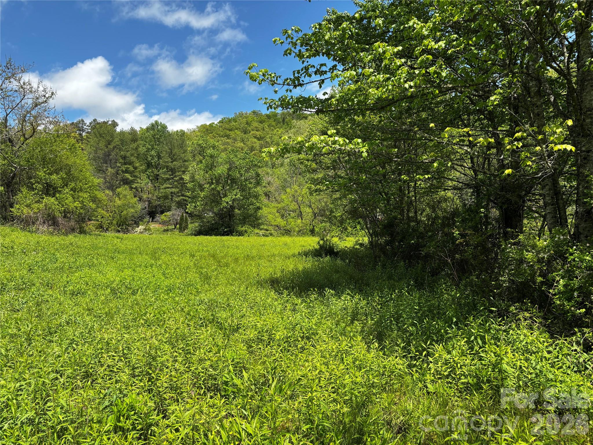 1659 Mountain Creek Road Robbinsville NC 28871