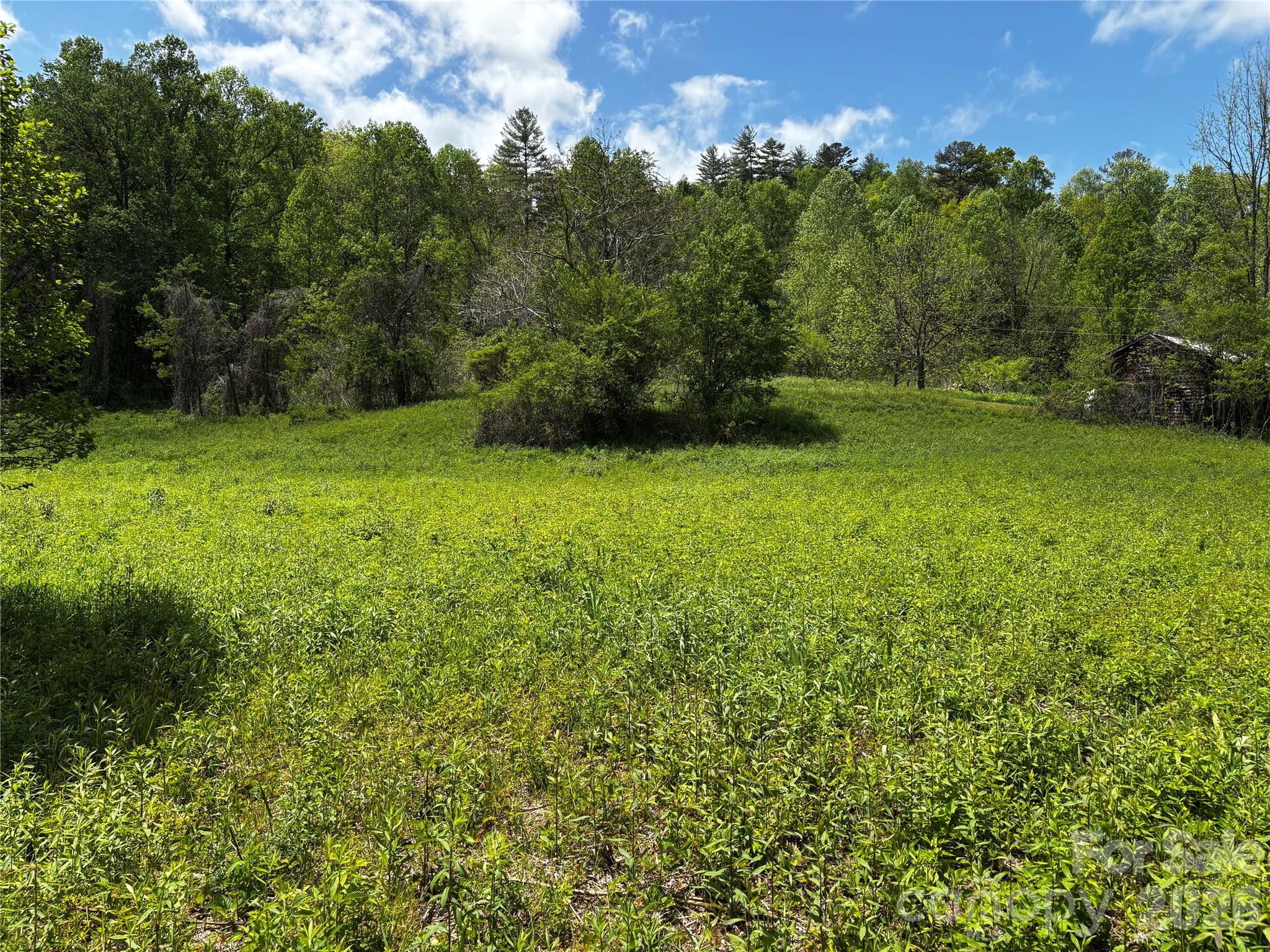 1659 Mountain Creek Road Robbinsville NC 28871
