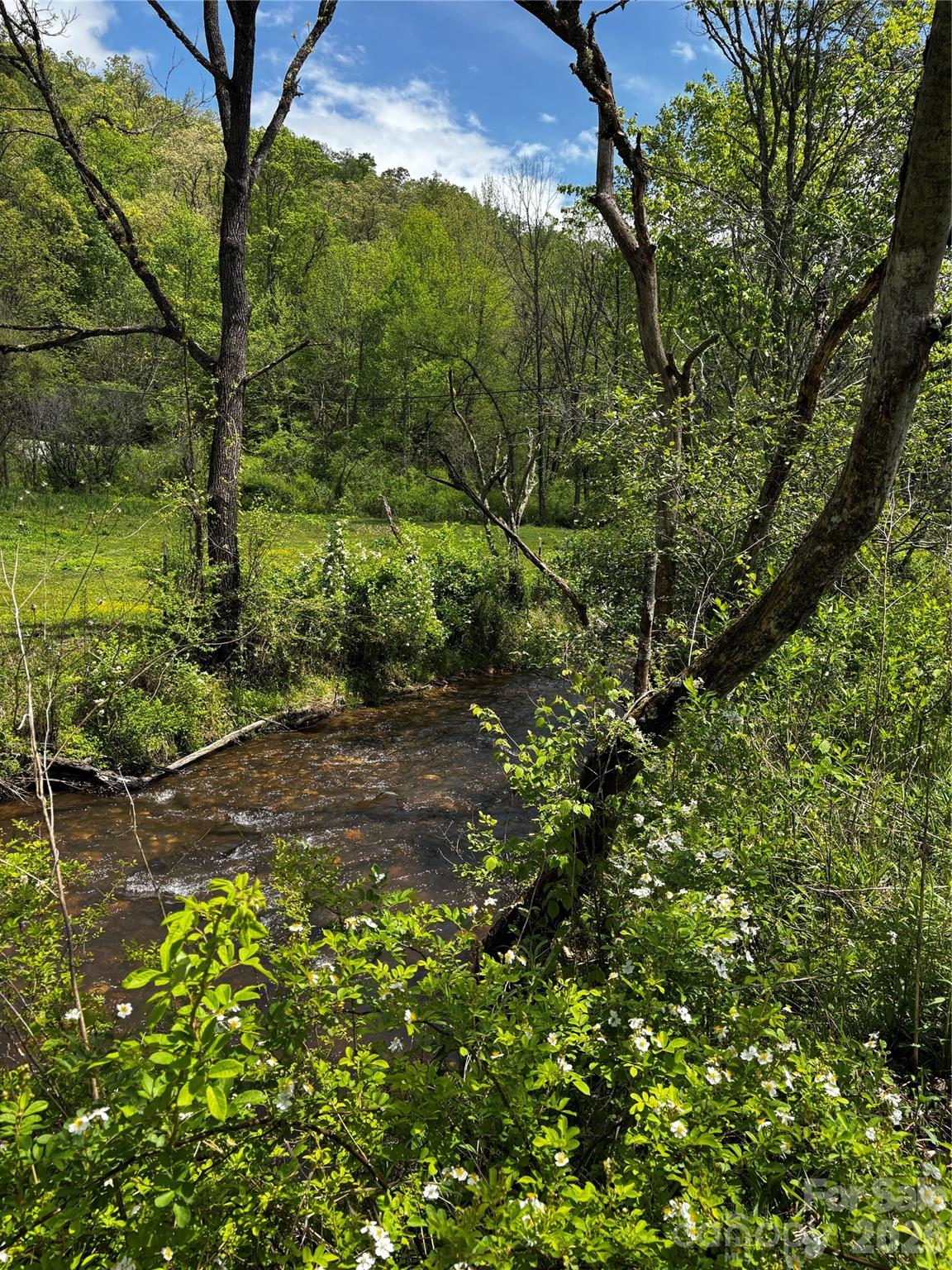 1659 Mountain Creek Road Robbinsville NC 28871