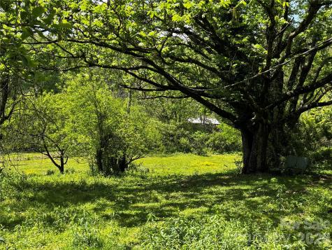 1659 Mountain Creek Road Robbinsville NC 28871