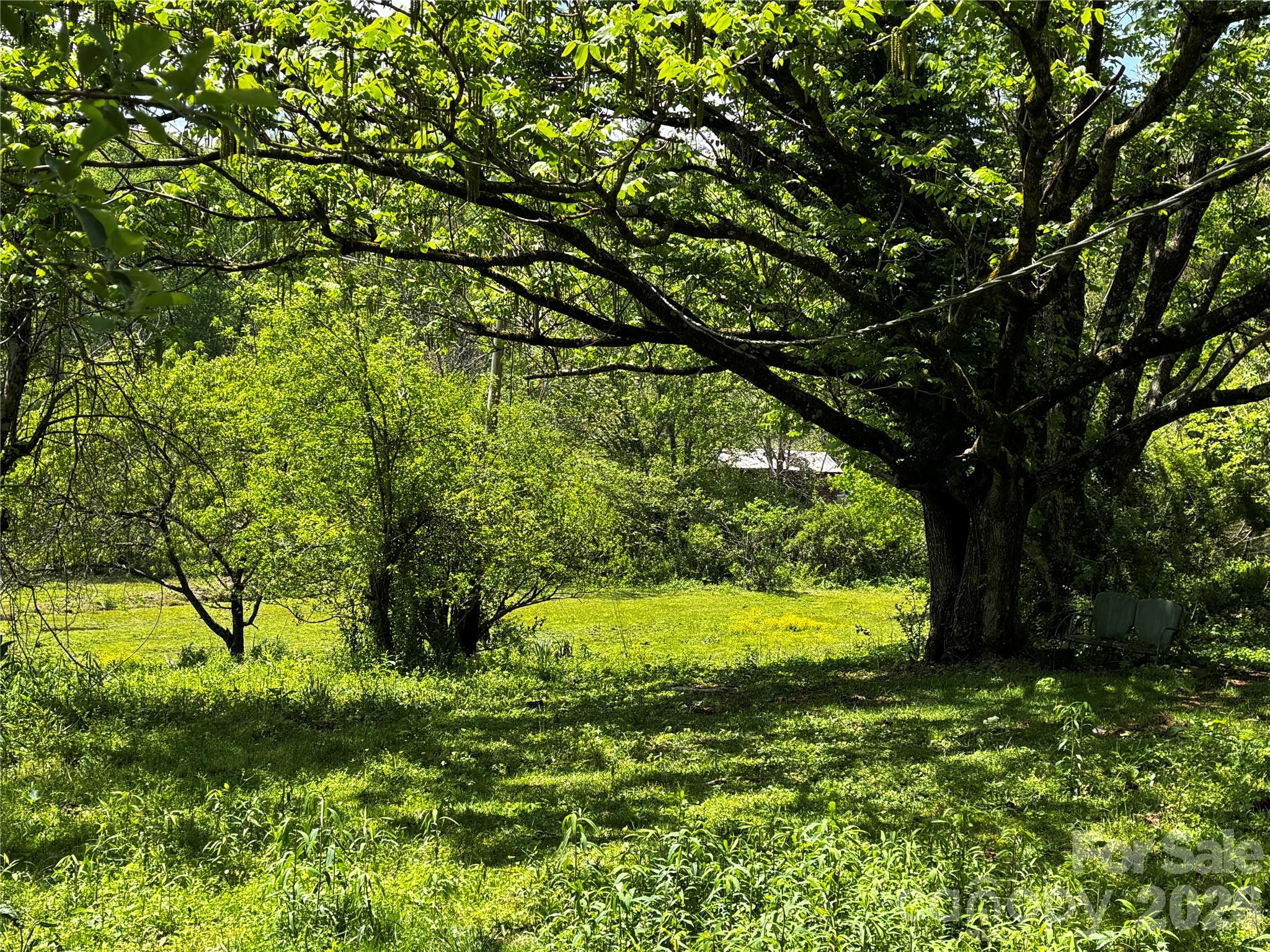 1659 Mountain Creek Road Robbinsville NC 28871
