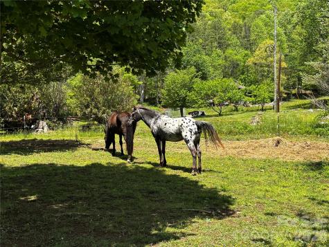 1659 Mountain Creek Road Robbinsville NC 28871