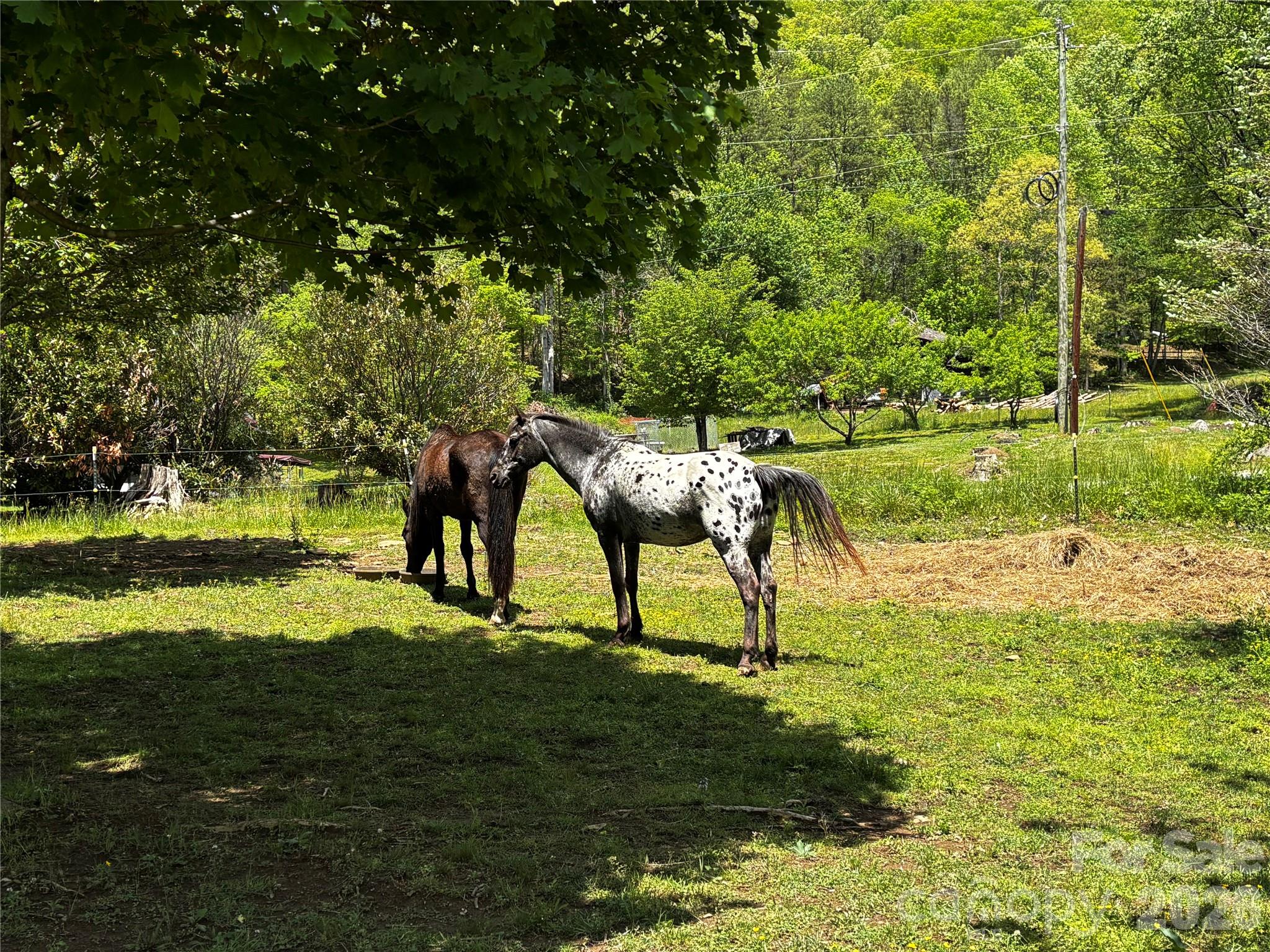 1659 Mountain Creek Road Robbinsville NC 28871