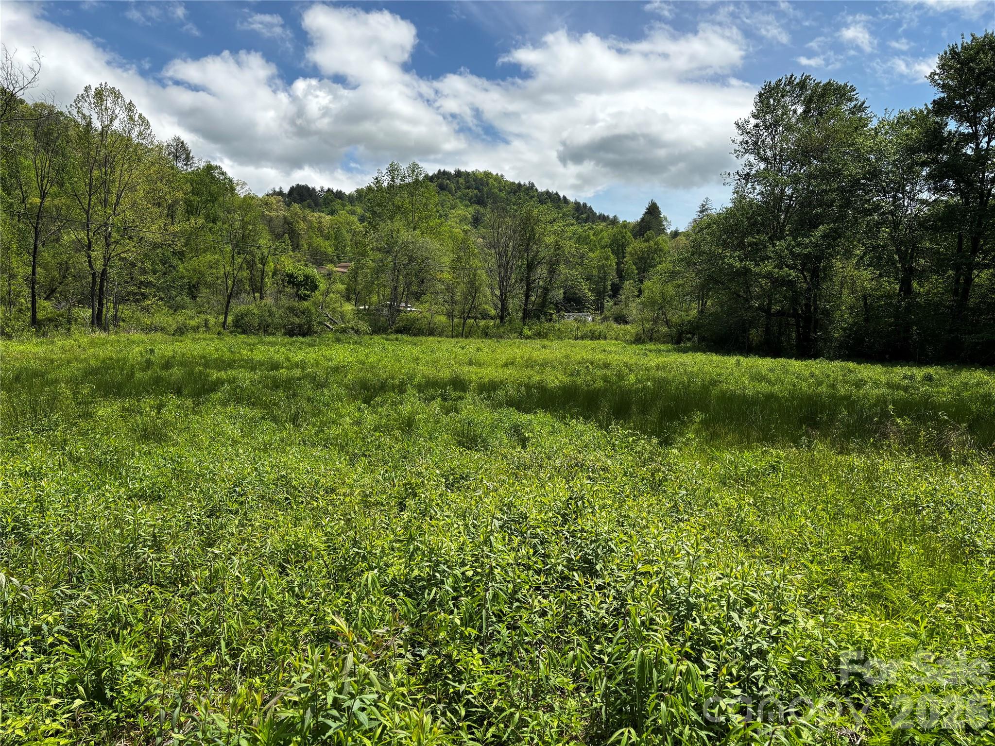 1659 Mountain Creek Road Robbinsville NC 28871