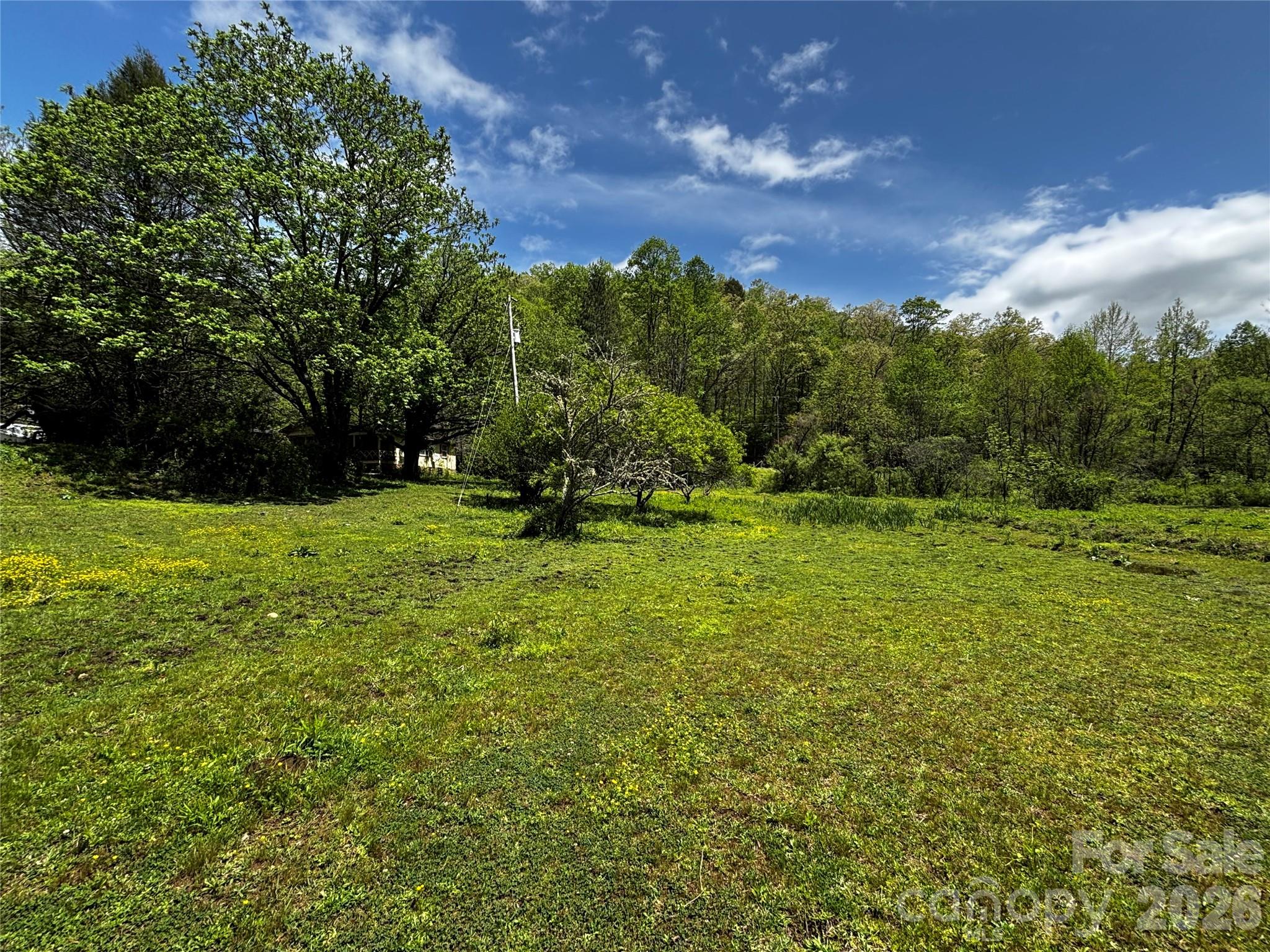 1659 Mountain Creek Road Robbinsville NC 28871