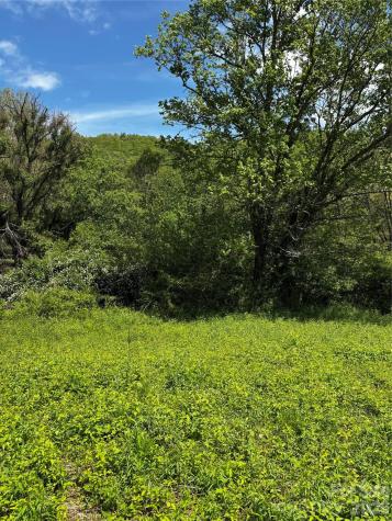 1659 Mountain Creek Road Robbinsville NC 28871