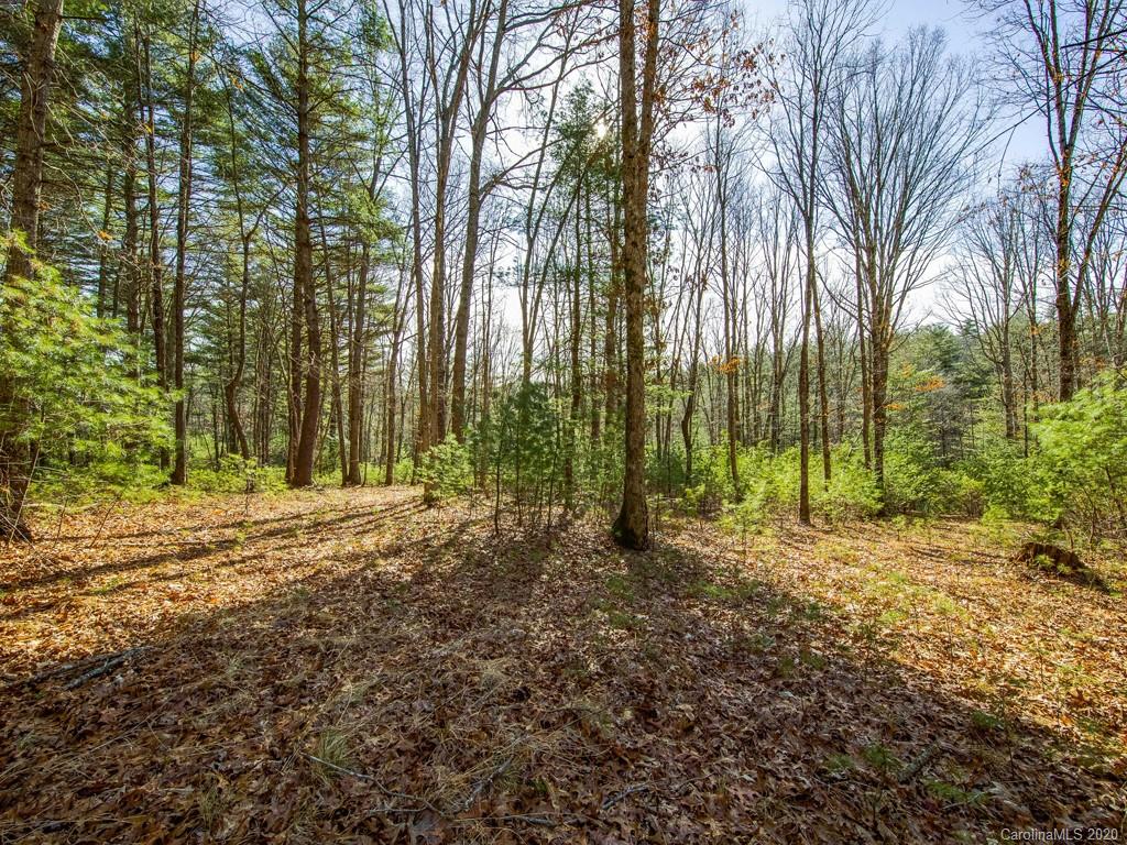 6 Sargent Court Asheville NC 28803