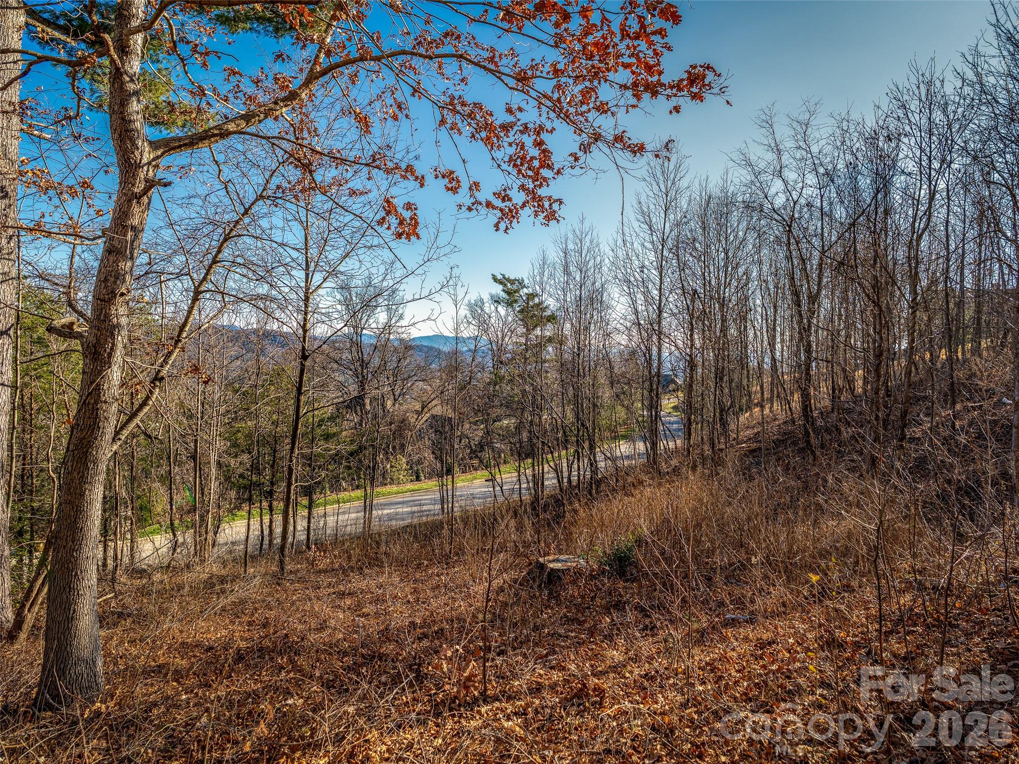 167 Summit Tower Circle Asheville NC 28804