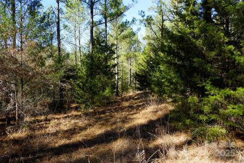 6+/- Ac Lot 2 Skyline Drive Chester SC 29706