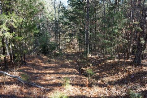 6+/- Ac Lot 2 Skyline Drive Chester SC 29706