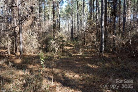6+/- Ac Lot 2 Skyline Drive Chester SC 29706