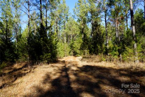 6+/- Ac Lot 2 Skyline Drive Chester SC 29706