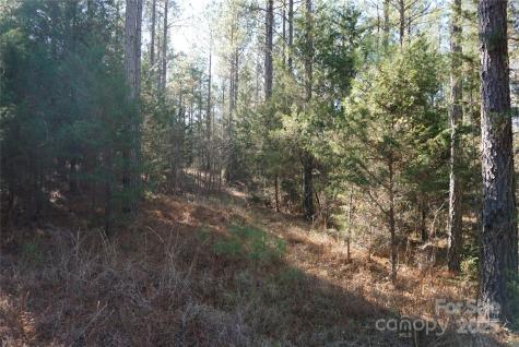 6+/- Ac Lot 2 Skyline Drive Chester SC 29706