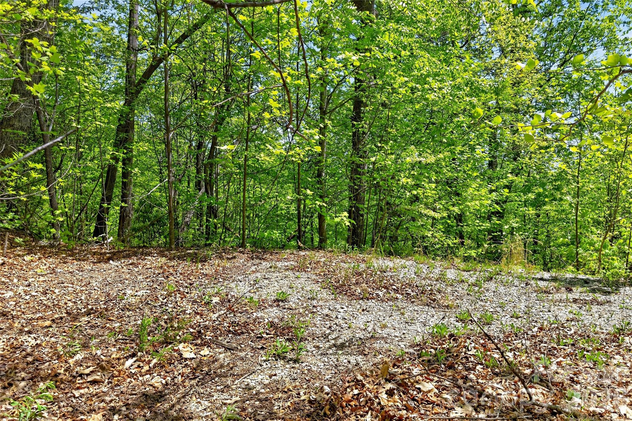 0 Bobcat Drive Old Fort NC 28762