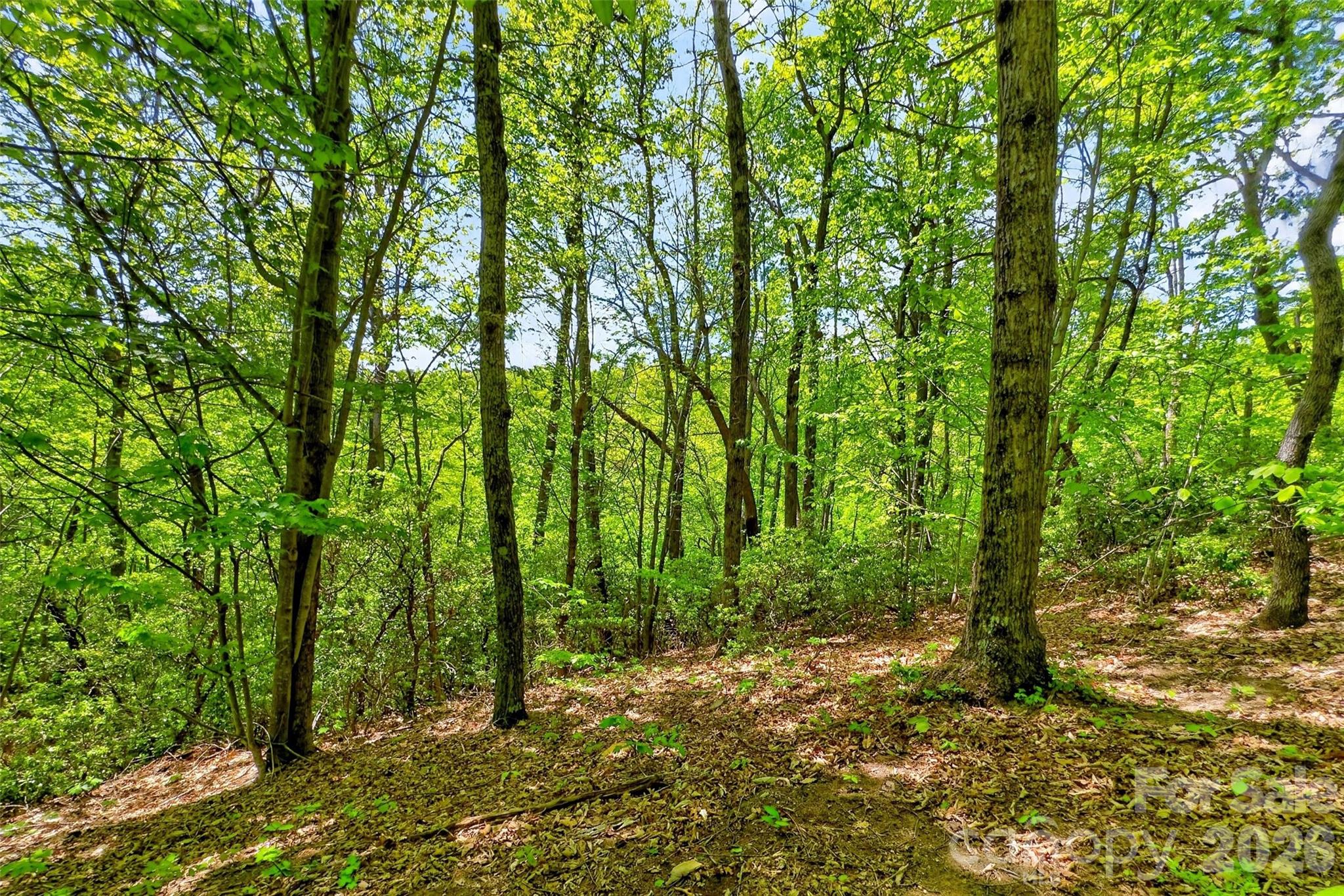 0 Bobcat Drive Old Fort NC 28762