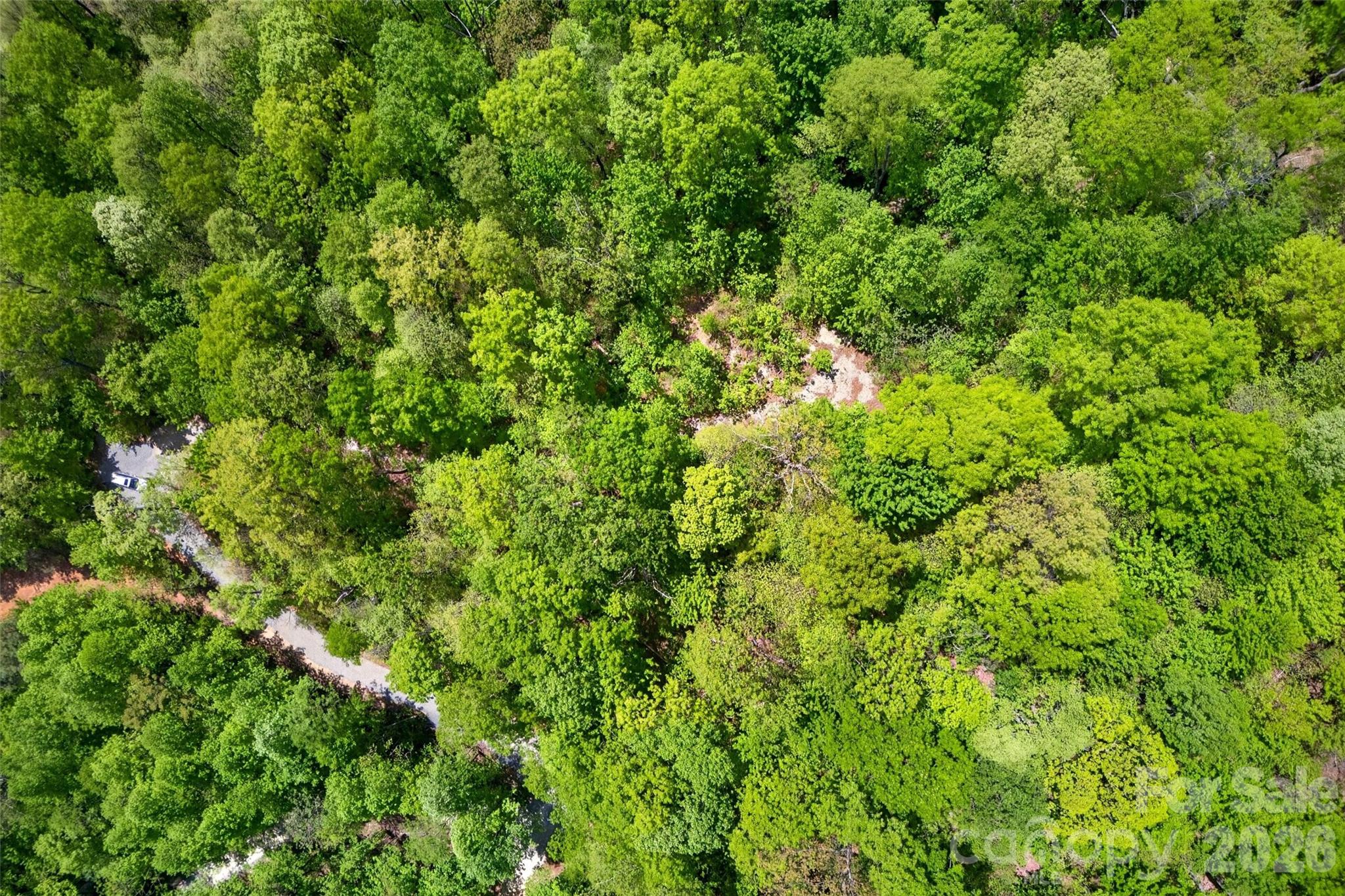 0 Bobcat Drive Old Fort NC 28762