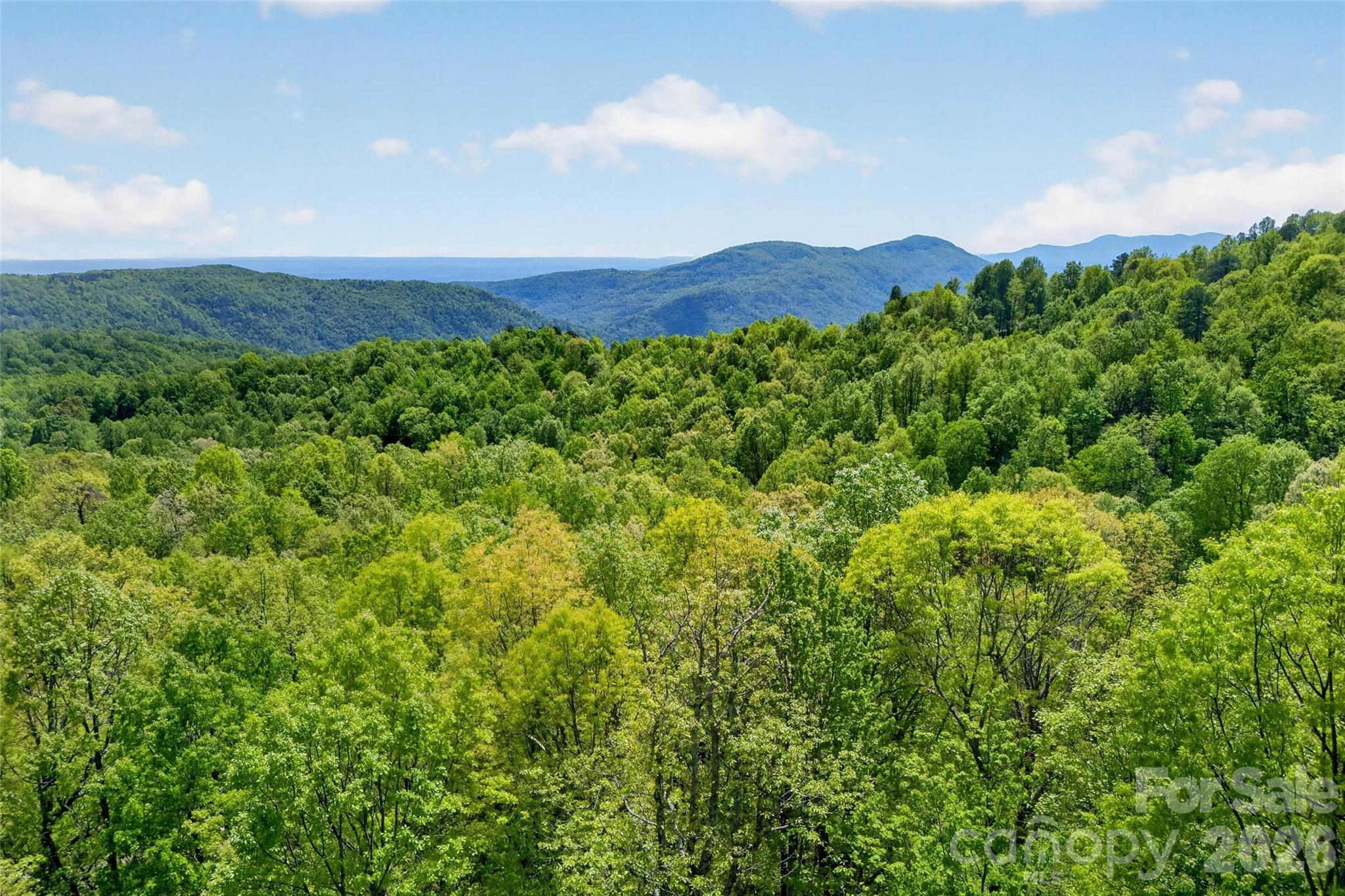 0 Bobcat Drive Old Fort NC 28762