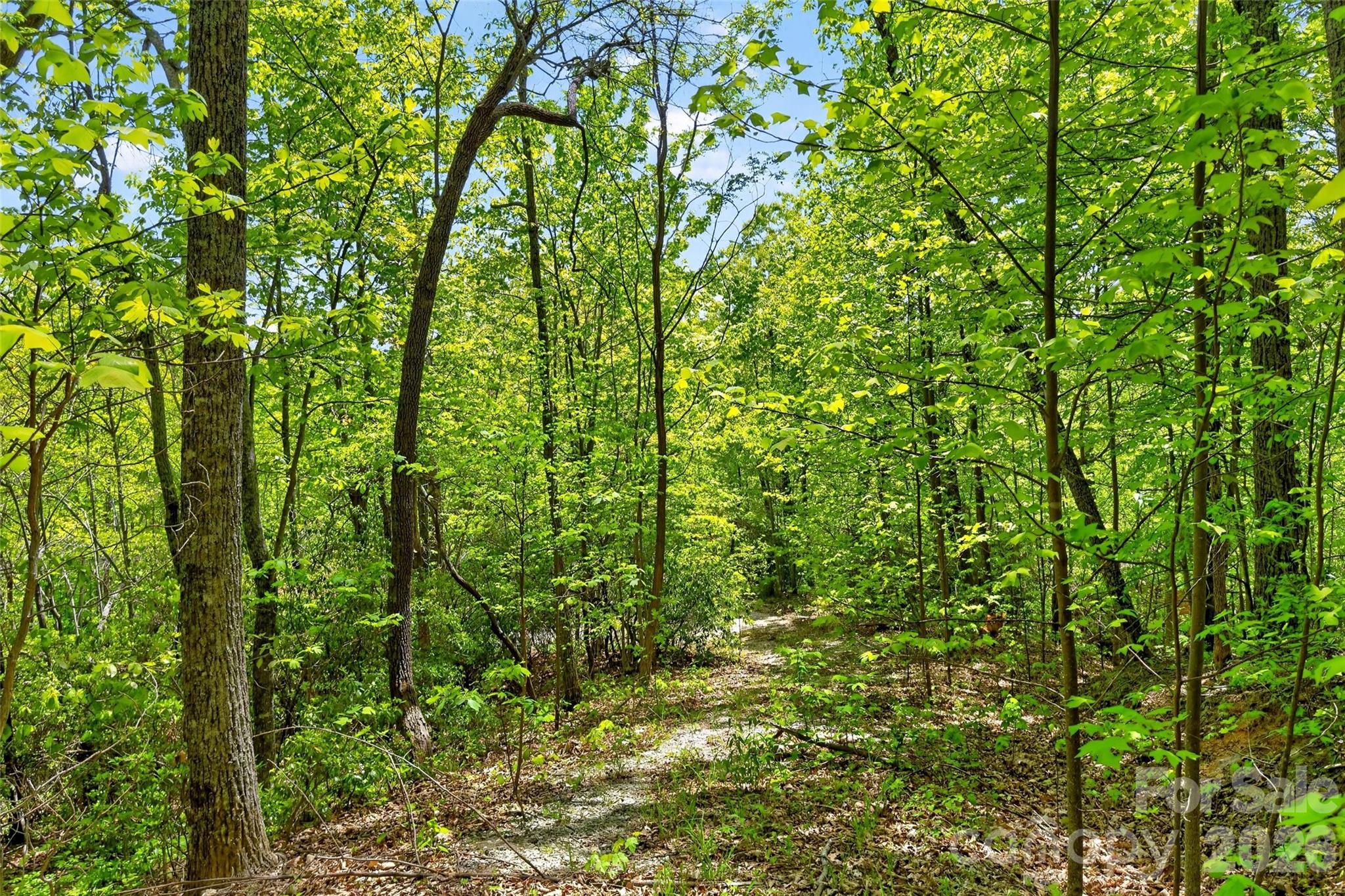 0 Bobcat Drive Old Fort NC 28762