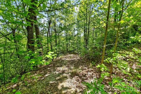 0 Bobcat Drive Old Fort NC 28762