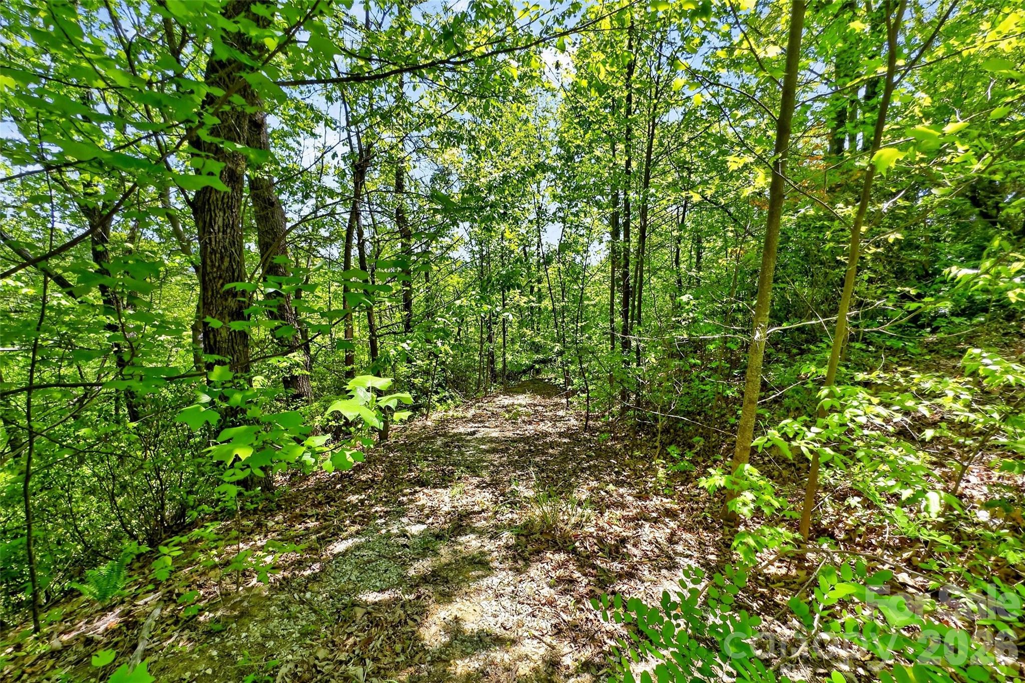 0 Bobcat Drive Old Fort NC 28762