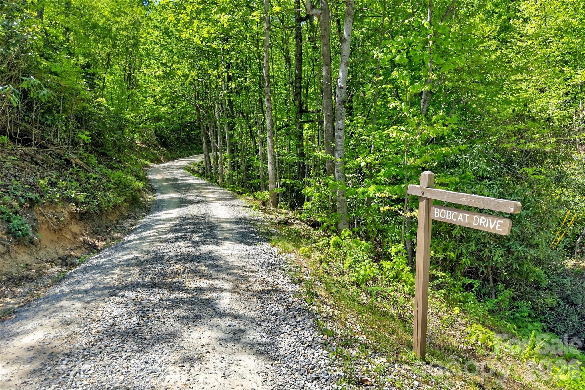 0 Bobcat Drive Old Fort NC 28762
