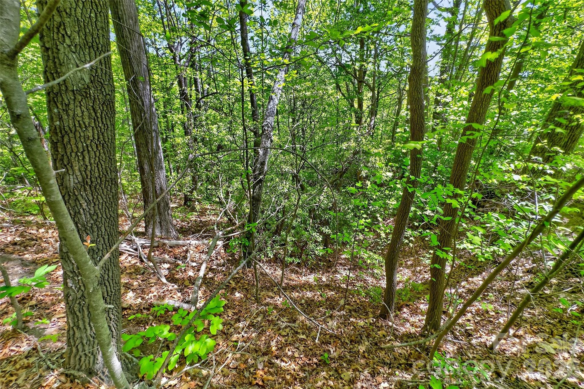 0 Bobcat Drive Old Fort NC 28762