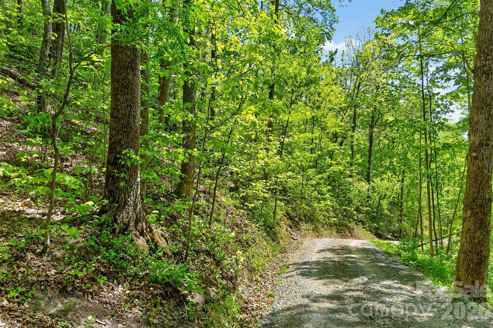 0 Bobcat Drive Old Fort NC 28762