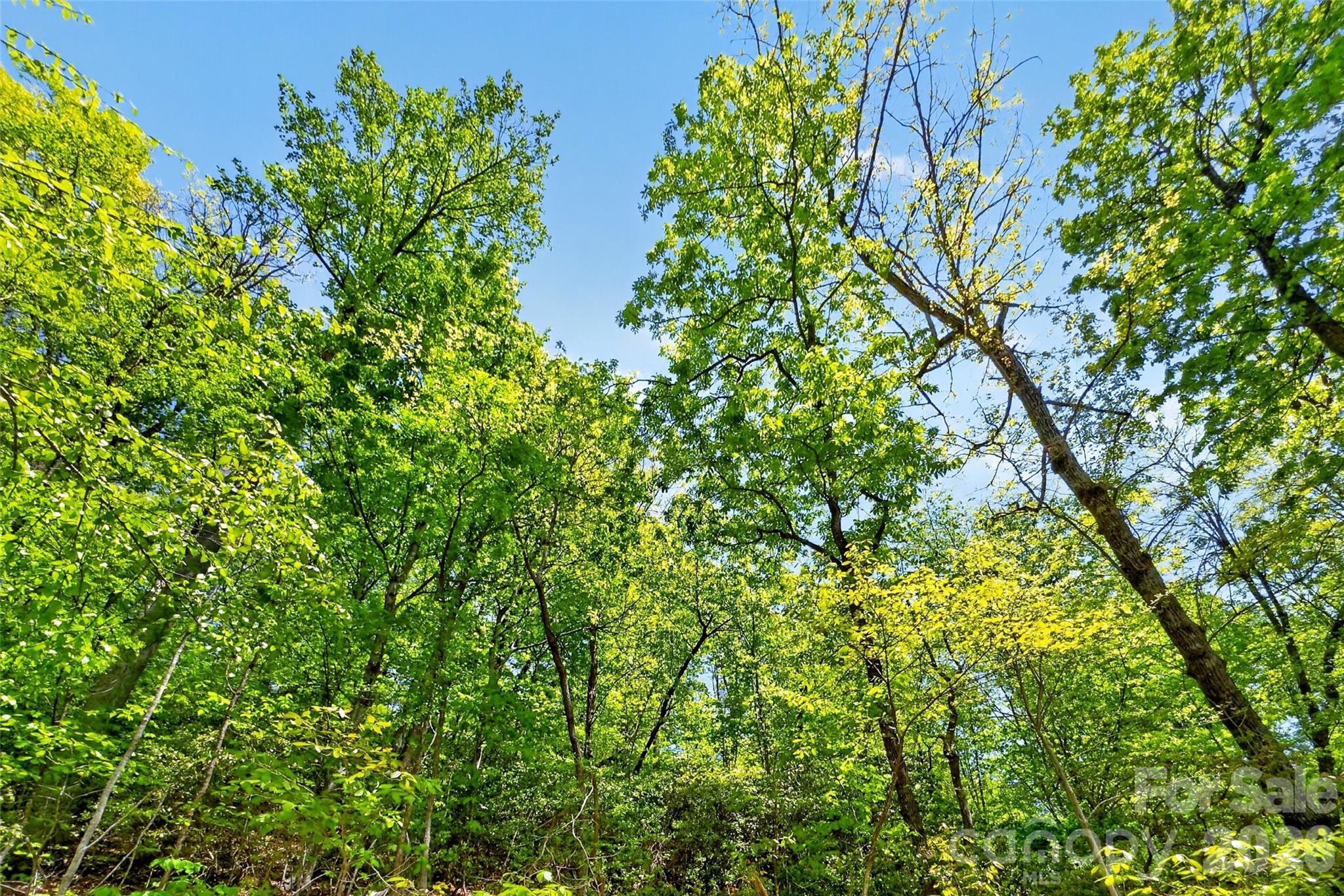 0 Bobcat Drive Old Fort NC 28762