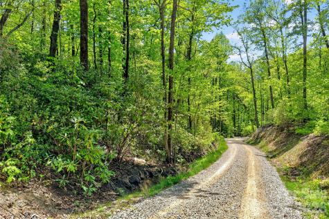 0 Bobcat Drive Old Fort NC 28762