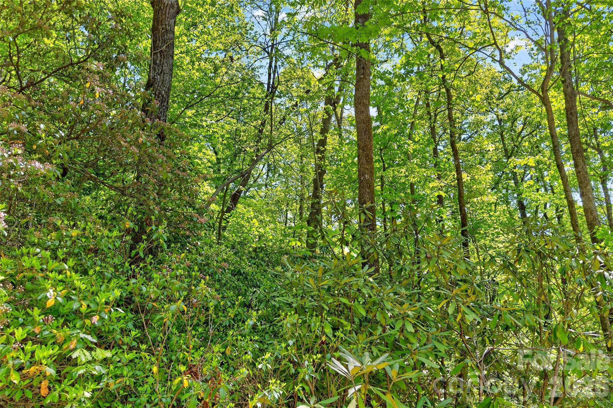 0 Bobcat Drive Old Fort NC 28762