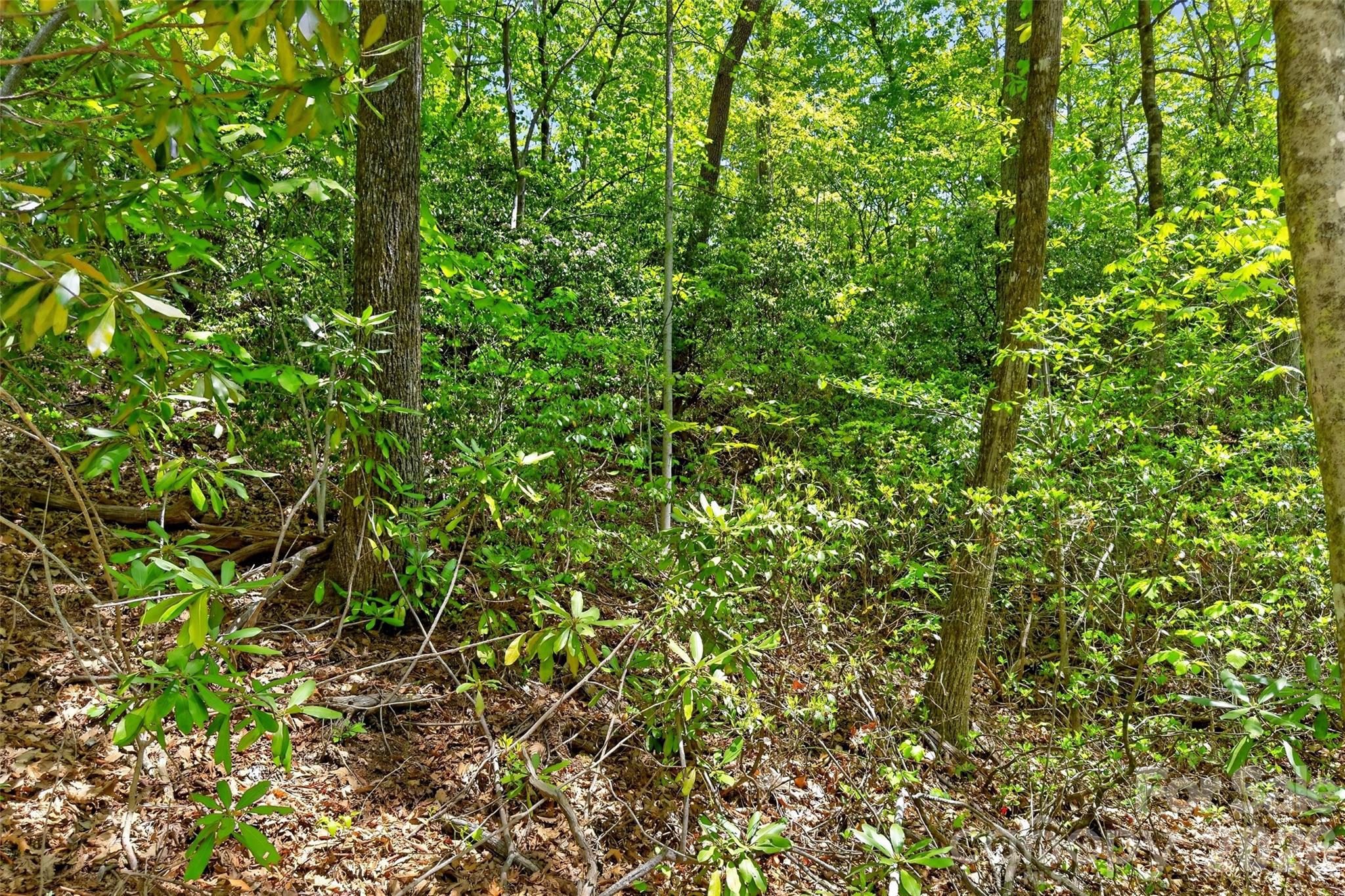 0 Bobcat Drive Old Fort NC 28762