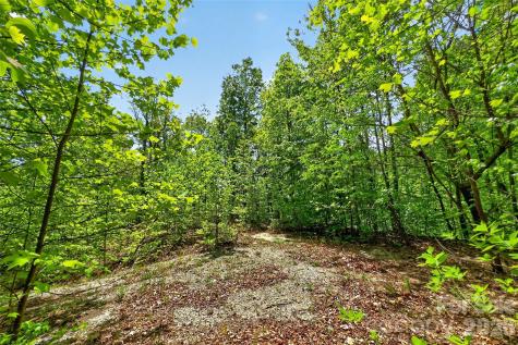 0 Bobcat Drive Old Fort NC 28762