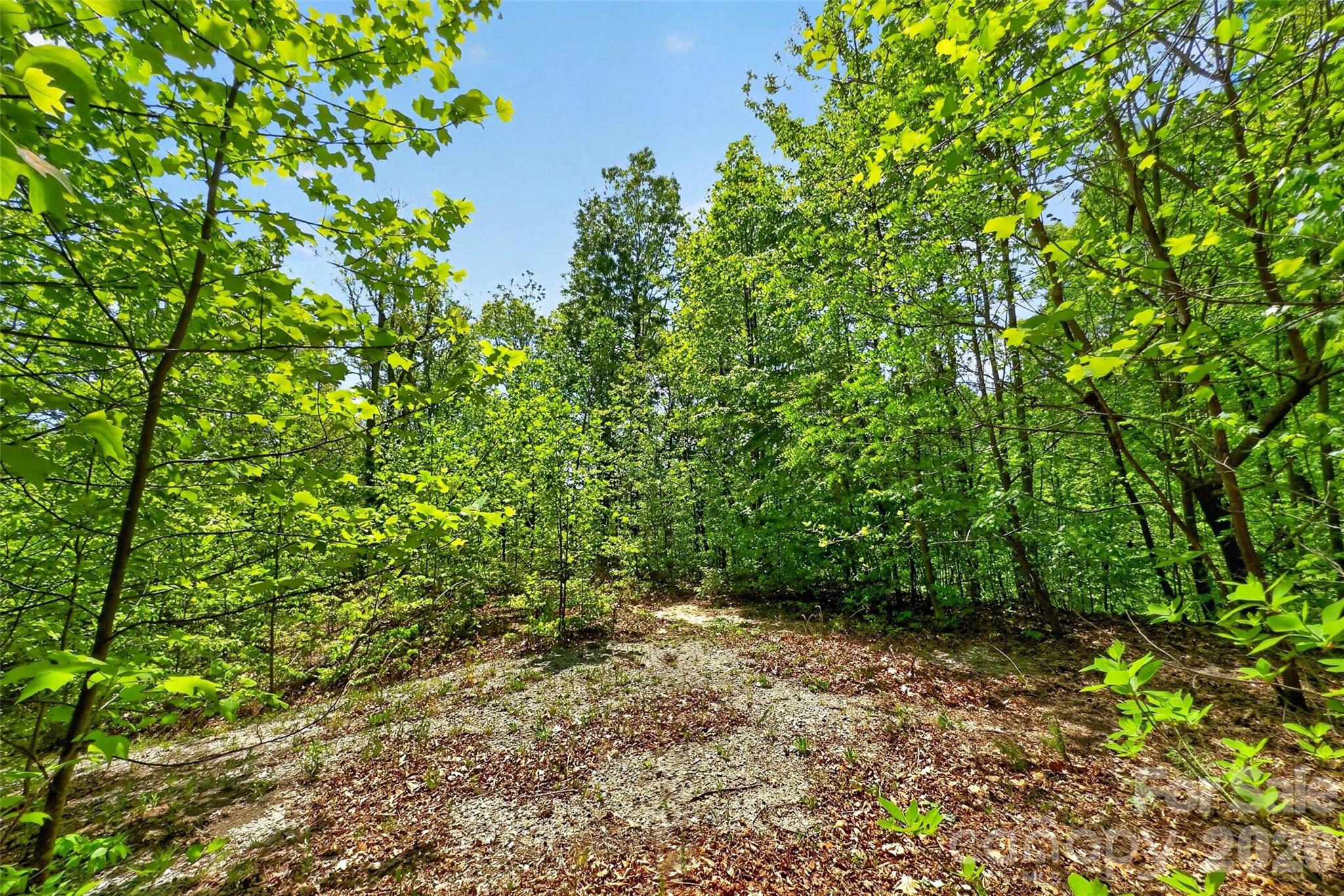0 Bobcat Drive Old Fort NC 28762