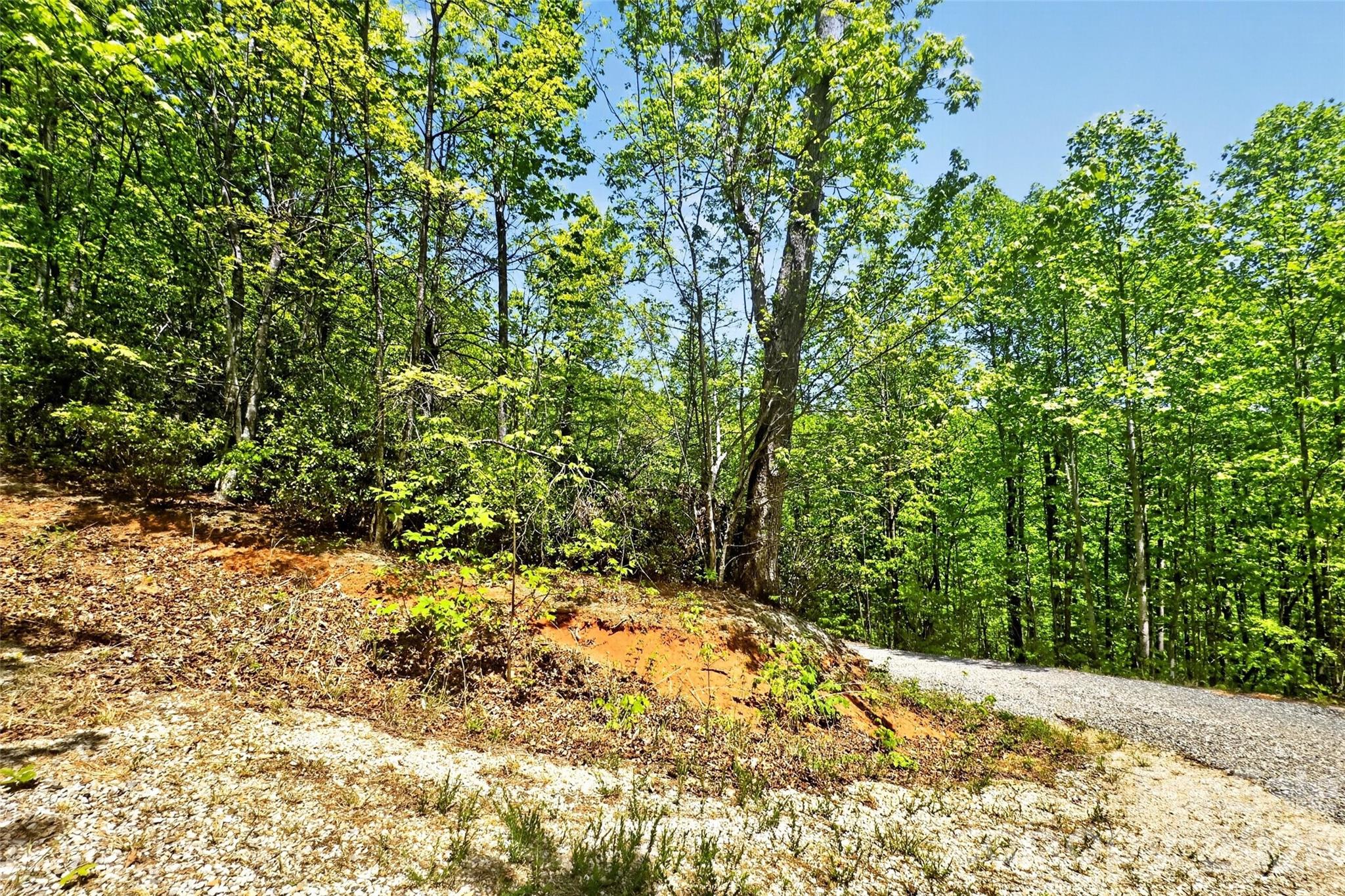 0 Bobcat Drive Old Fort NC 28762