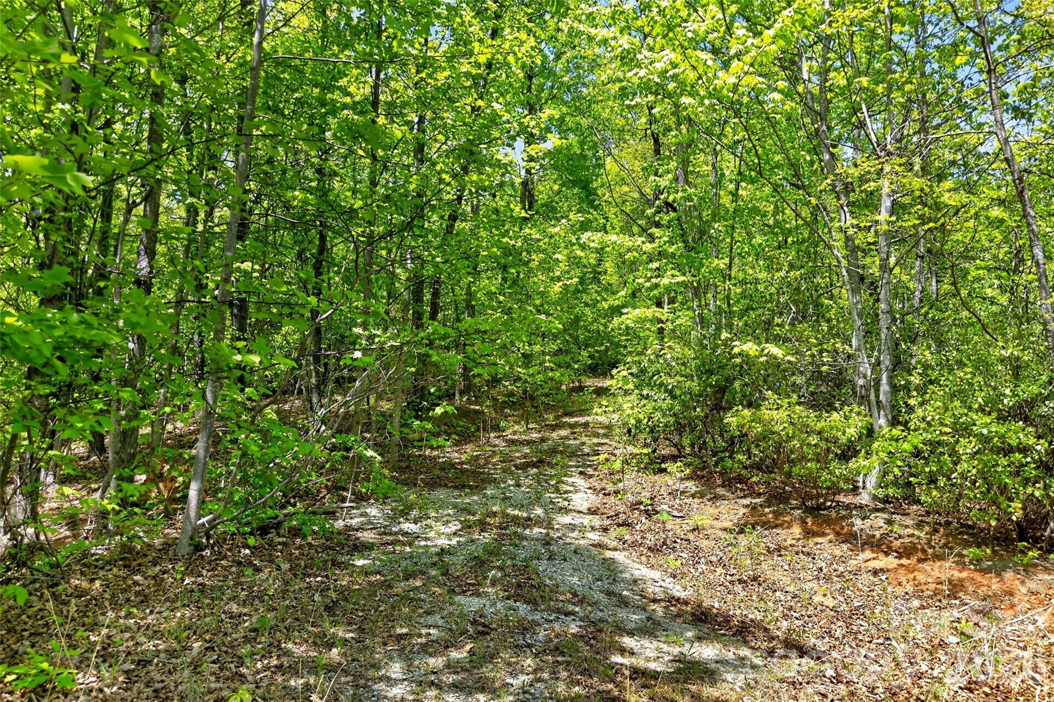 0 Bobcat Drive Old Fort NC 28762