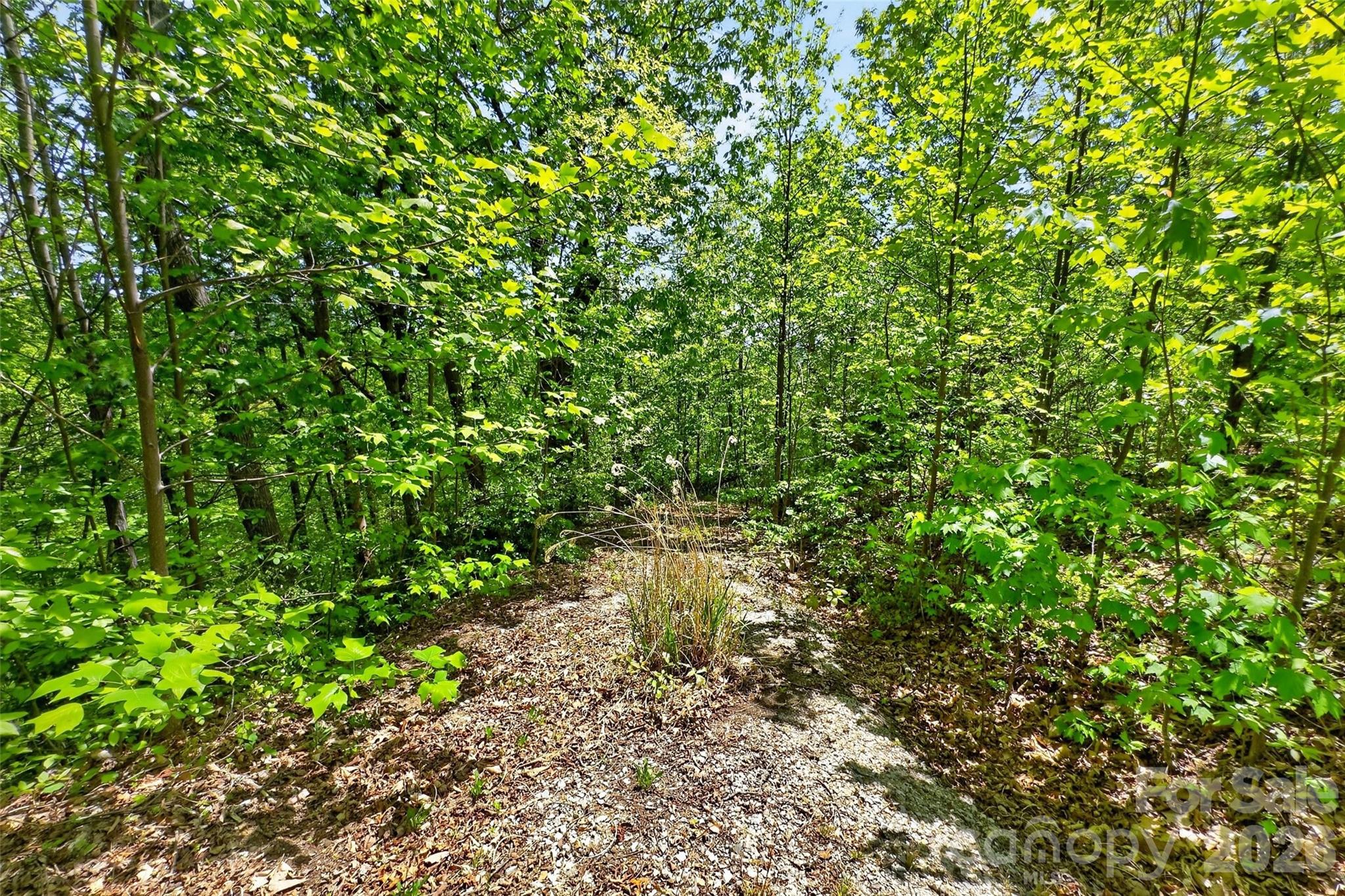 0 Bobcat Drive Old Fort NC 28762