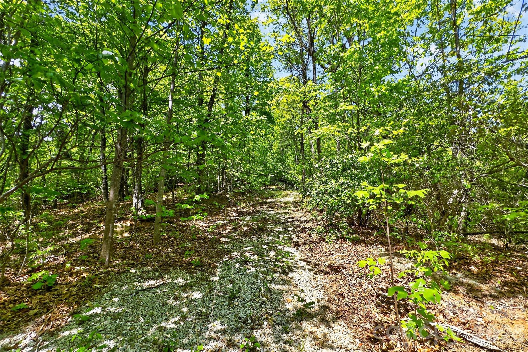 0 Bobcat Drive Old Fort NC 28762