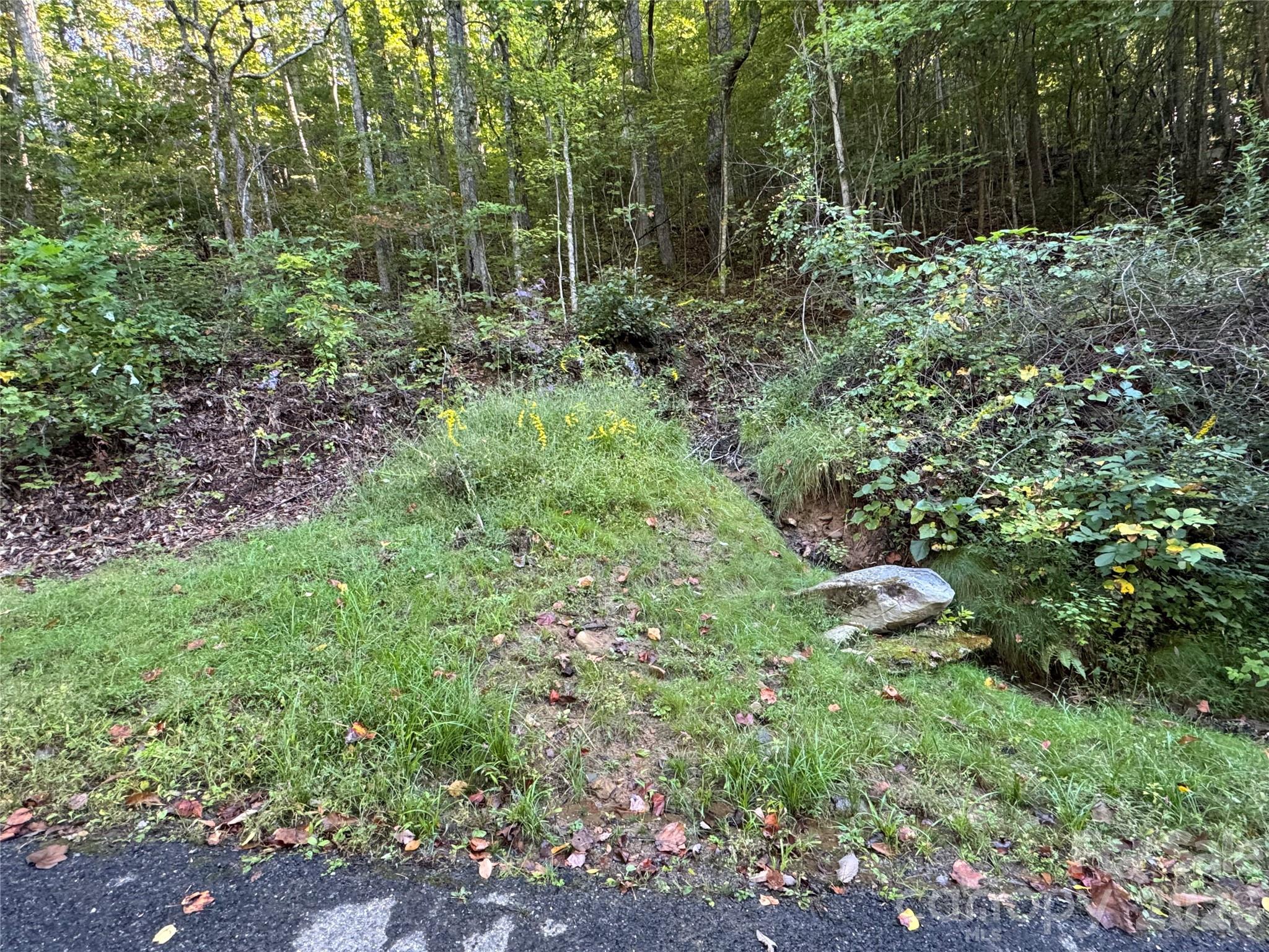 Tbd Red Oak Forest Road Fairview NC 28730