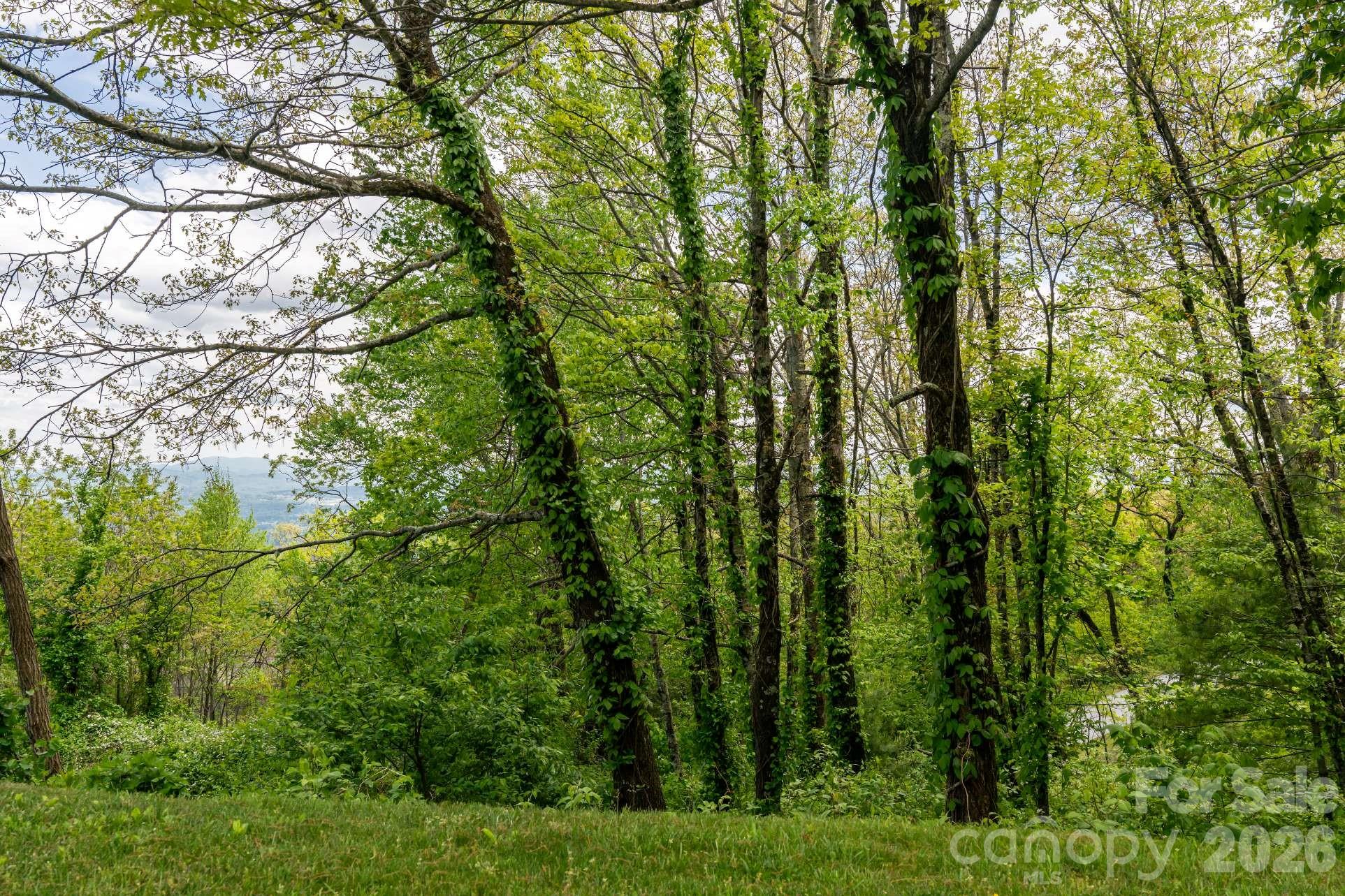 416 Summerset Drive Hendersonville NC 28792
