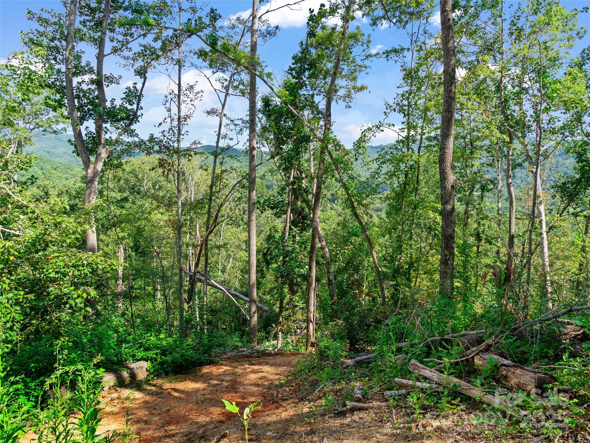 99999 Youngs Gap Road Fletcher NC 28732