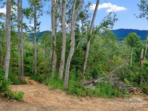 99999 Youngs Gap Road Fletcher NC 28732