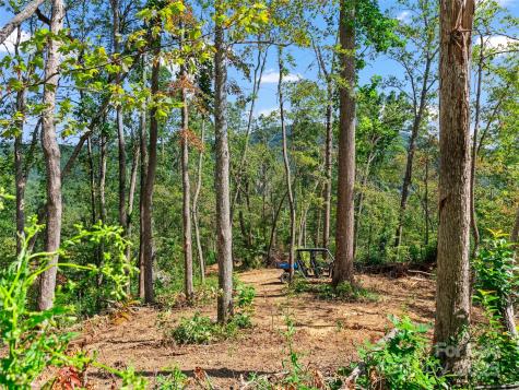 99999 Youngs Gap Road Fletcher NC 28732