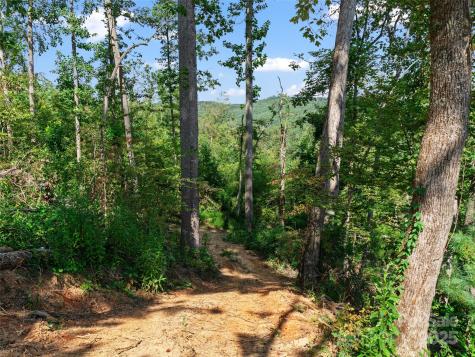 99999 Youngs Gap Road Fletcher NC 28732
