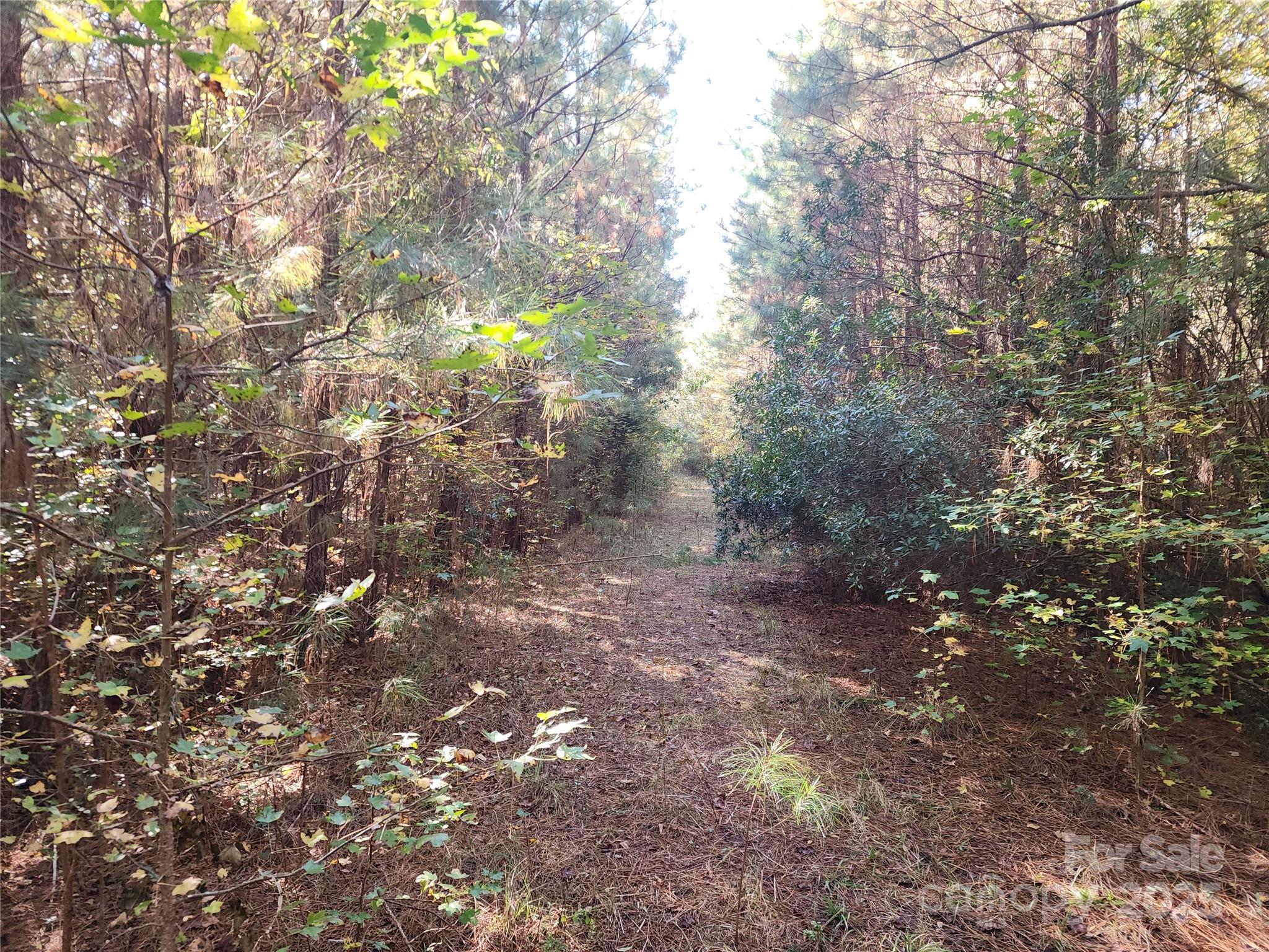 1202 Willow Brook Road Nashville NC 27856