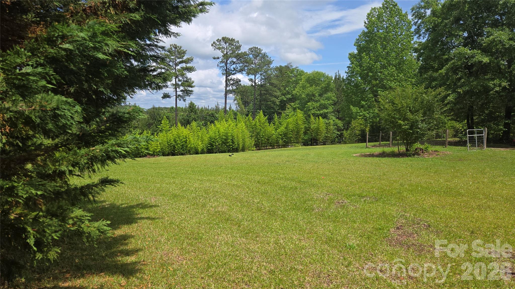 66 Misery Ridge Trail Mill Spring NC 28756