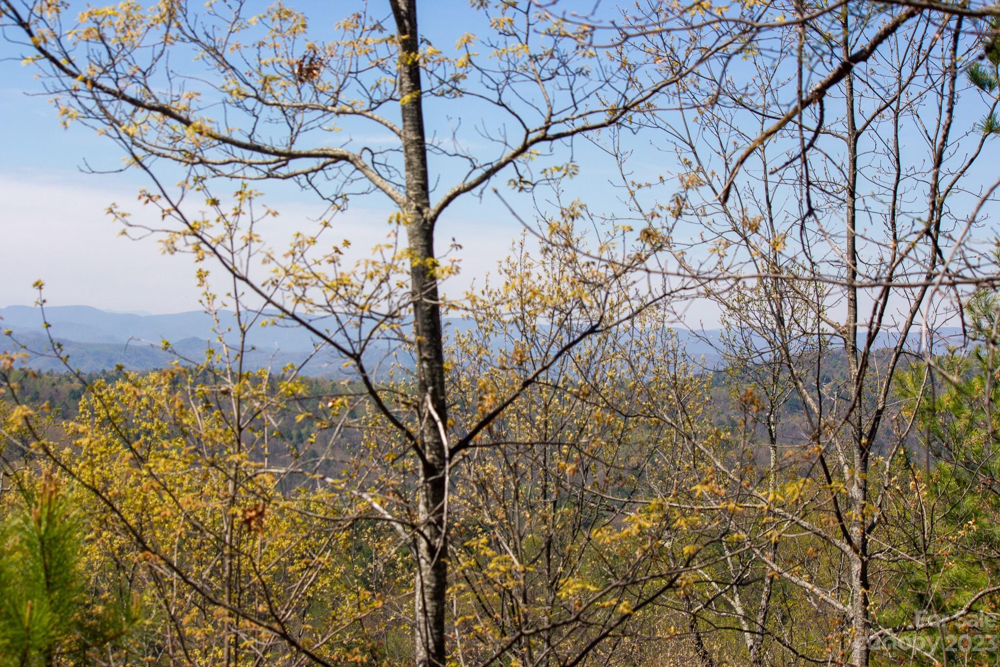 Lot# 513 Fire Crest Lane Lenoir NC 28645