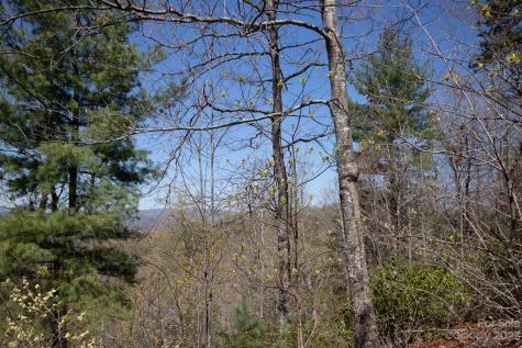 Lot# 513 Fire Crest Lane Lenoir NC 28645