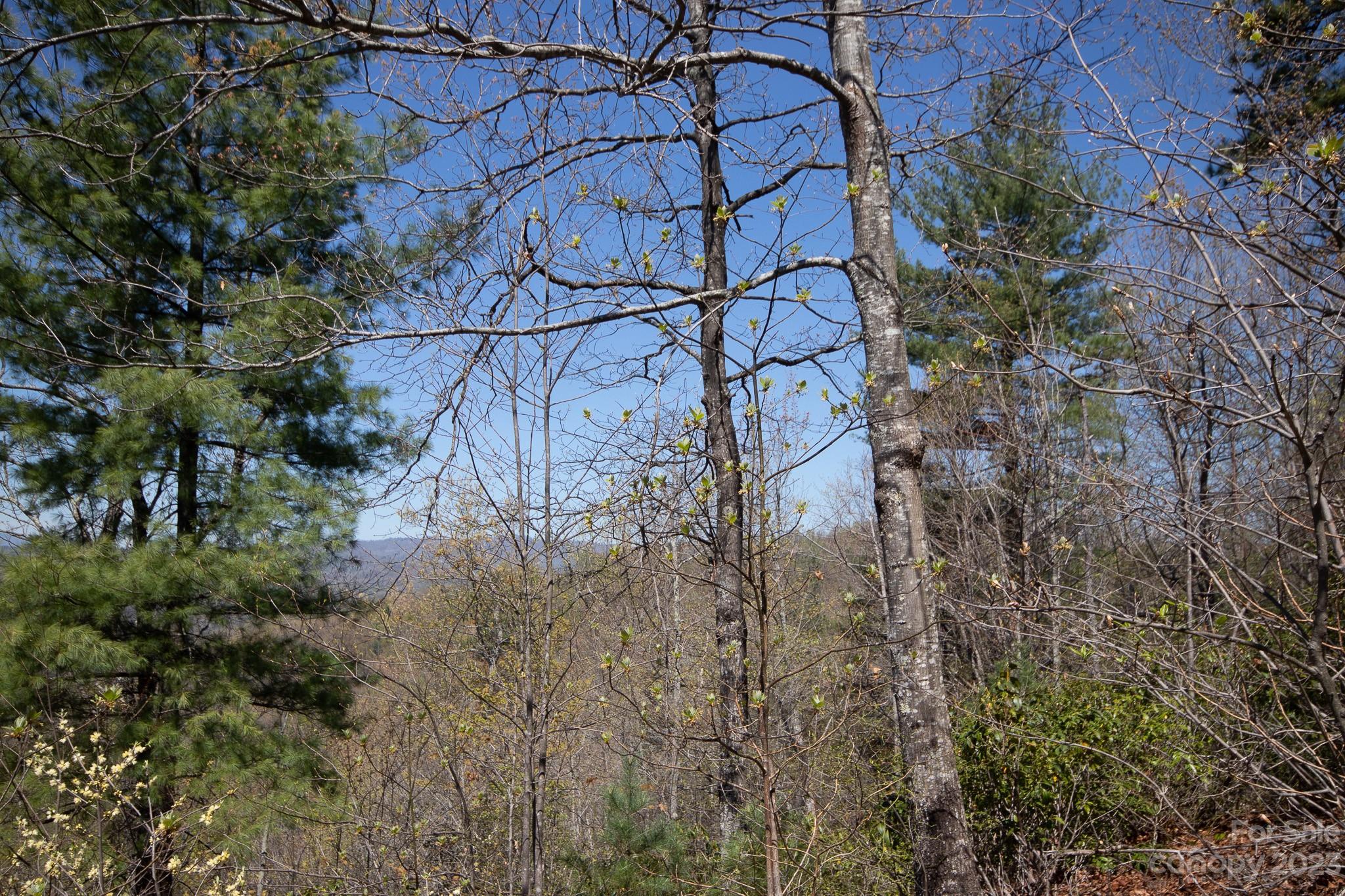 Lot# 513 Fire Crest Lane Lenoir NC 28645