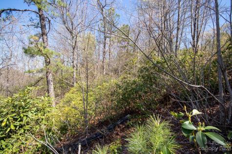 Lot# 513 Fire Crest Lane Lenoir NC 28645